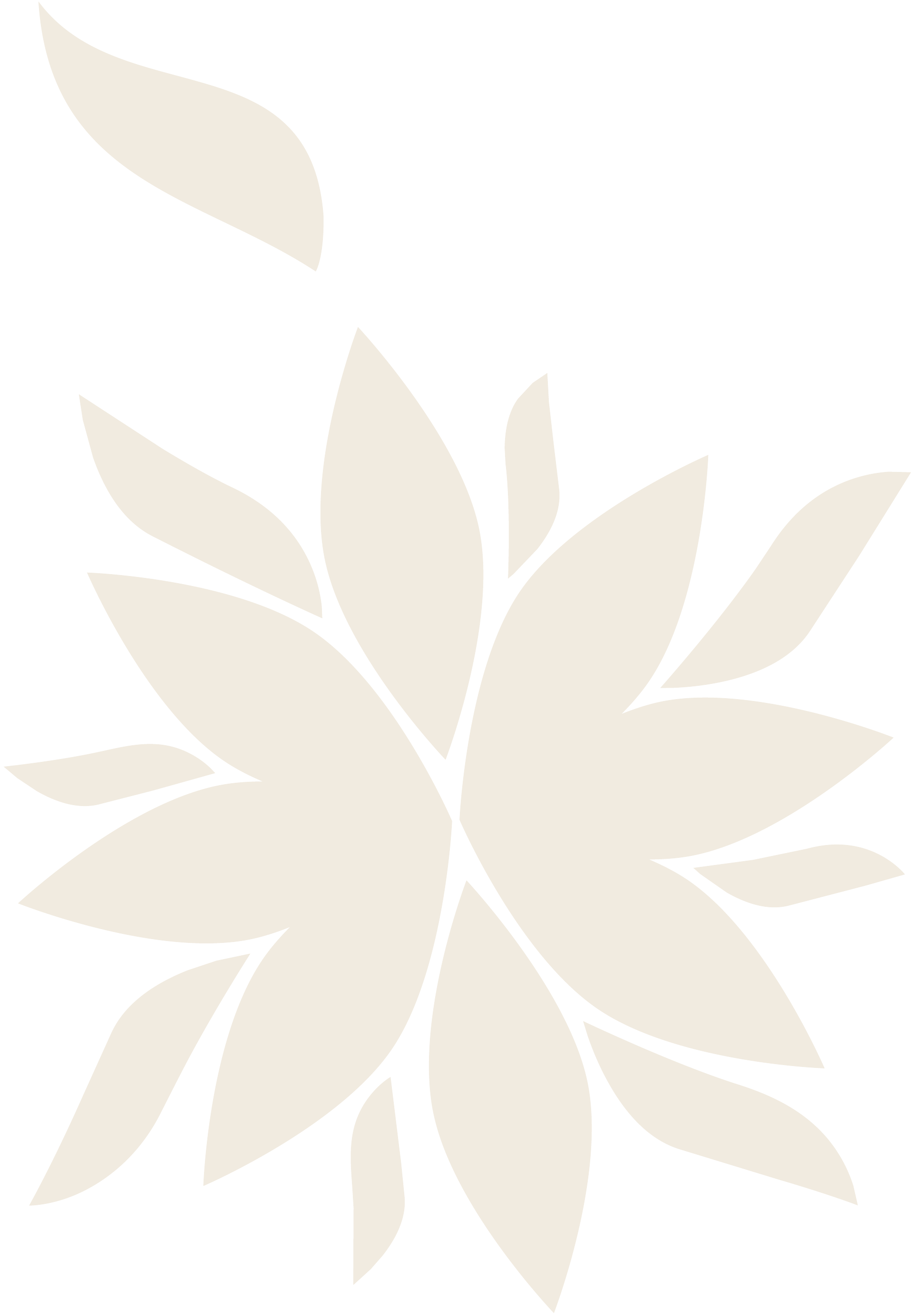 YAMI